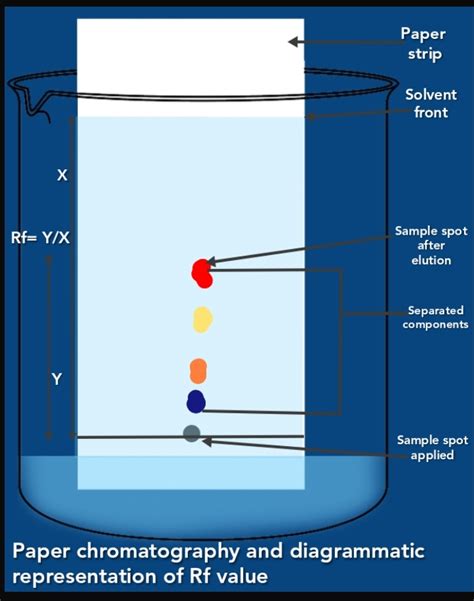 rf in chromatography stands for